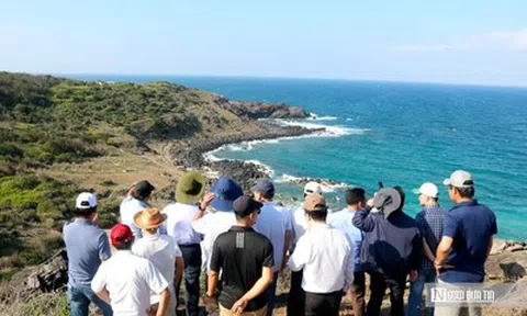 Phú Quý hút khách mạnh, hướng tới trở thành điểm đến biển đảo nổi bật khu vực