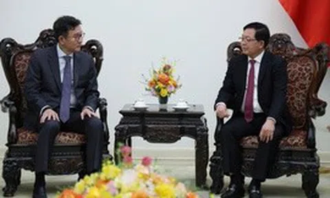 Phó Thủ tướng Hồ Quốc Dũng tiếp lãnh đạo Tập đoàn năng lượng GS (Hàn Quốc)