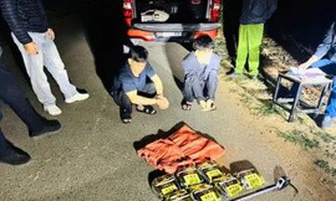 Hải quan liên tiếp triệt phá đường dây ma túy lớn