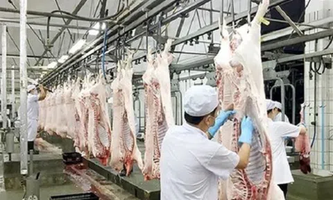 Thủ tướng chỉ đạo chấn chỉnh công tác kiểm dịch của lực lượng thú y