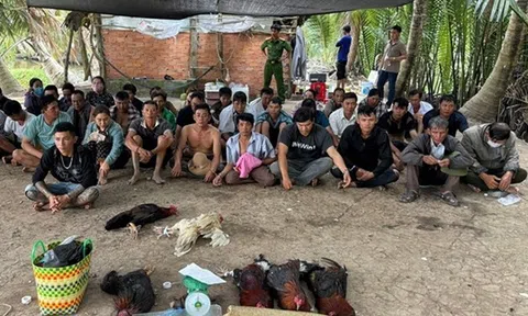 Bắt 36 đối tượng đánh bạc đá gà, ăn thua bằng số tiền lớn