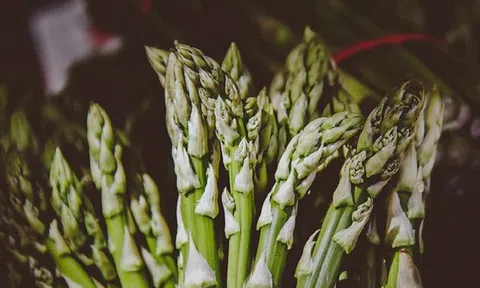 Loại rau được quốc tế ca ngợi “tốt nhất thế giới”, người Việt ăn thường xuyên mà không hay