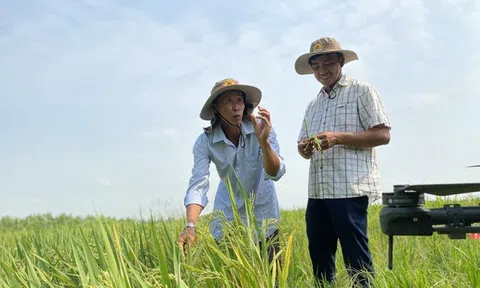 Đổi mới quy định công nhận nông thôn mới giai đoạn 2026-2030