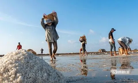 Theo chân diêm dân “nuôi” muối giữa nắng, gió và mồ hôi