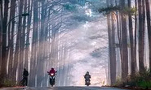 Những cung đường bồng bềnh Đà Lạt mùa săn mây