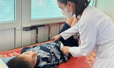 Vụ ngộ độc bánh mì ở Quảng Ngãi: Thực phẩm nhiễm nhiều loại vi khuẩn