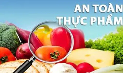 Tiếp tục áp dụng Nghị định 15/2018/NĐ-CP về an toàn thực phẩm cho đến khi có quy định mới