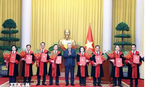 Tổng Bí thư, Chủ tịch nước Tô Lâm trao quyết định bổ nhiệm Thẩm phán TAND tối cao