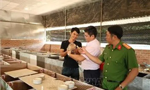 Vốn chính sách tiếp sức người hoàn lương vươn lên làm kinh tế