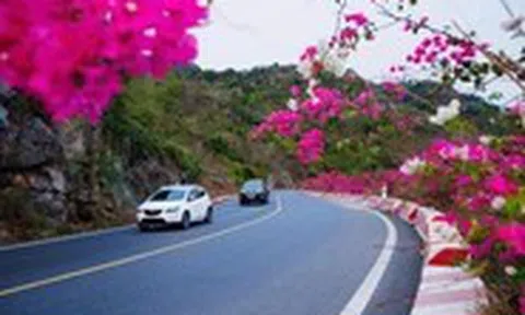 Cung đường Cát Bà đẹp như mơ