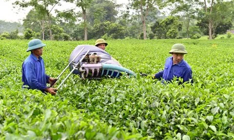 Định hướng nông nghiệp bền vững để thúc đẩy tăng trưởng kinh tế