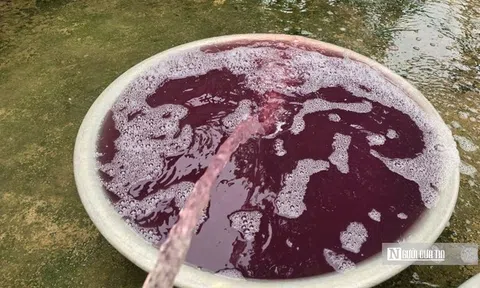 Vụ nước giếng khoan chuyển màu tím: Tạm dừng hoạt động giặt là nhà máy may