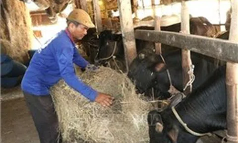 Mở rộng nguồn vốn hỗ trợ người dân