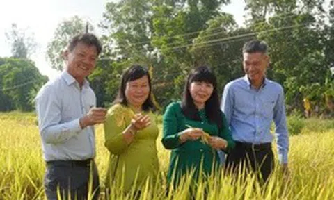 'Bón đúng, bón ít' – Triết lý làm nông nghiệp tử tế của một doanh nghiệp phân bón