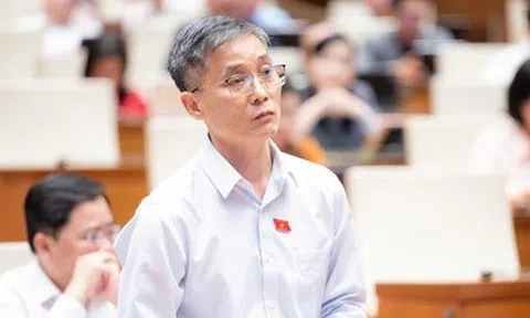 Thí điểm luật sư công tại 8 bộ, 10 địa phương: Cần một cơ quan điều phối chung để hiệu quả