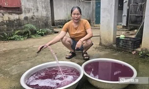 Nước giếng khoan chuyển màu tím, bốc mùi hôi tanh: Đã tìm ra "thủ phạm"