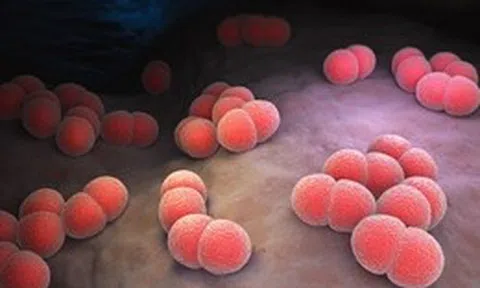 Ghi nhận ca tử vong do não mô cầu, Cà Mau tăng cường công tác phòng, chống dịch