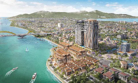 Cù Lao Chàm báo lãi hơn 775 tỷ đồng năm 2025, vốn chủ sở hữu tăng gấp đôi