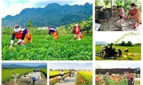 Chương trình mục tiêu quốc gia giai đoạn mới: Hoàn thiện thể chế, tập trung nguồn lực cho cơ sở