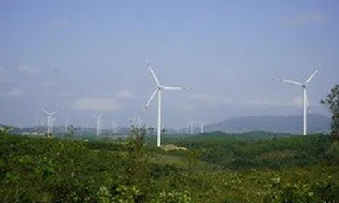 Để đạt Net Zero 2050 giá điện phải tăng thêm 30%