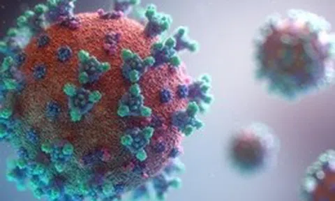 Kịp thời cứu chữa hai bé trai nguy kịch do chủng virus EV71 gây ra