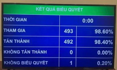 Quốc hội biểu quyết thông qua Luật Tiếp cận thông tin (sửa đổi)