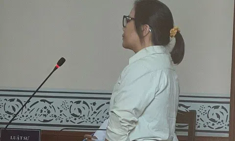 Tòa trả hồ sơ vụ cựu luật sư lừa đảo thân chủ