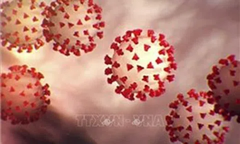 Giới chuyên gia nhận định mức độ nguy hiểm của biến thể mới virus SARS-CoV-2