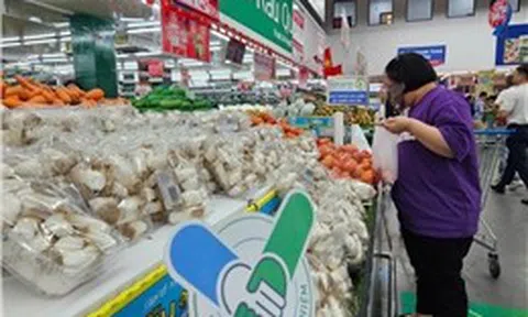 Gắn tick xanh trách nhiệm với thực phẩm học đường - Bài 2: Thêm nhiều 'lá chắn' mới