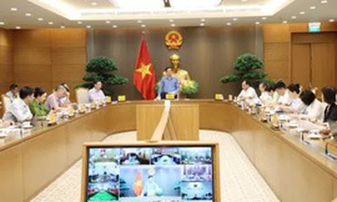 Kiên quyết chấn chỉnh tình trạng 'mua bán' mã số vùng trồng, bảo vệ uy tín nông sản Việt