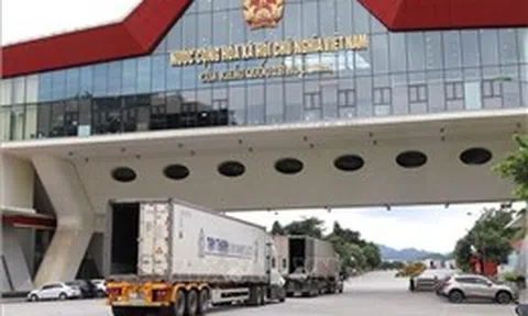 Phát hiện gần 15.000 sản phẩm có dấu hiệu xâm phạm quyền sở hữu trí tuệ