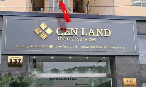 Thêm một thành viên HĐQT Cenland xin từ nhiệm trước thềm ĐHĐCĐ