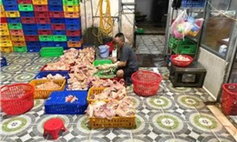 TP Hồ Chí Minh: Phát hiện điểm giết mổ gia cầm trái phép, buộc xử lý gần 1 tấn gà