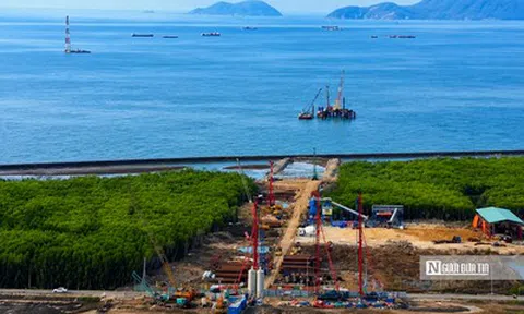 Cận cảnh cầu vượt biển dài nhất Việt Nam đang thành hình giữa sóng gió Cà Mau