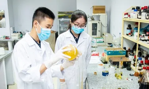 Đạo văn, dữ liệu giả có thể bị cấm tham gia nhiệm vụ khoa học vô thời hạn