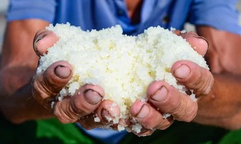 Diêm dân "rang mình" dưới nắng 40 độ, đổi lấy hơn 200 nghìn đồng mỗi ngày