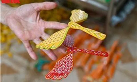Chuồn chuồn tre ‘lên mạng’