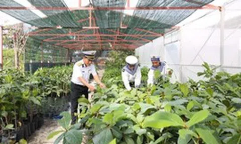Những ‘cột mốc xanh’ ở Trường Sa