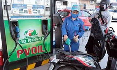 Hiệp hội ô tô, xe máy lên tiếng về xăng E10
