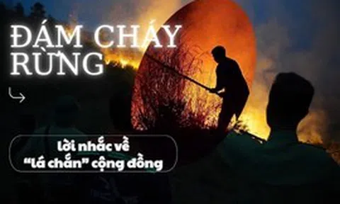 Đám cháy rừng và lời nhắc về ‘lá chắn’ cộng đồng