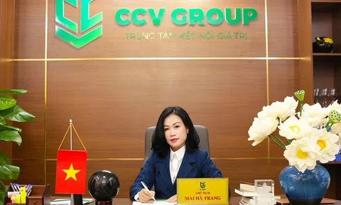 Vì sao Chủ tịch Công ty CCV Group Mai Hà Trang bị khởi tố?