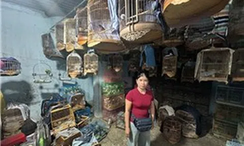 Phát hiện hơn 430 cá thể động vật hoang dã nuôi nhốt trái phép tại TP Hồ Chí Minh