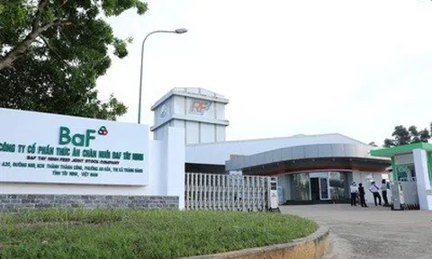 BAF chốt quyền phát hành cổ phiếu tỉ lệ 20%, chuẩn bị huy động thêm 1.200 tỷ đồng