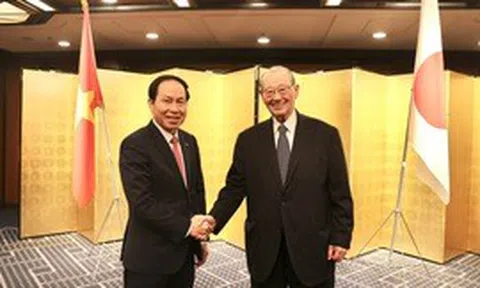 Phó Thủ tướng Lê Tiến Châu tiếp Hội đồng Thúc đẩy ngoại giao nhân dân (Nhật Bản)