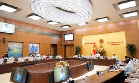 Sửa pháp lệnh; bảo đảm sự đồng bộ, thống nhất với quy định của Luật Phòng, chống ma túy