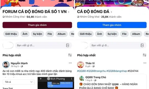 Các chiêu trò cá độ và lừa đảo trực tuyến mùa World Cup 2026