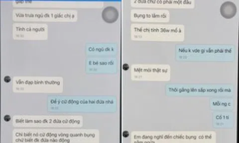 Khởi tố đối tượng cầm đầu đường dây mang thai hộ, mua bán trứng người