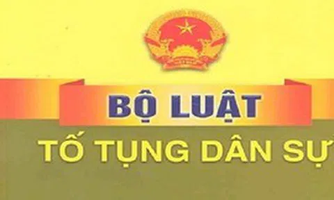 Đánh giá toàn diện kết quả thi hành Bộ luật Tố tụng dân sự