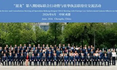 Hải quan ghi nhận 927 vụ vi phạm xuyên quốc gia