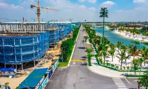 Vinhomes dự chi gần 24.650 tỷ đồng trả cổ tức tiền mặt